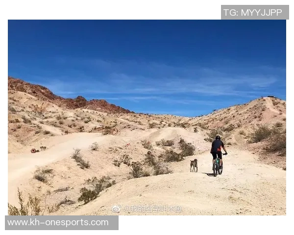 实时新闻深圳与北京极限运动队耐力对决赛后复盘分析与总结